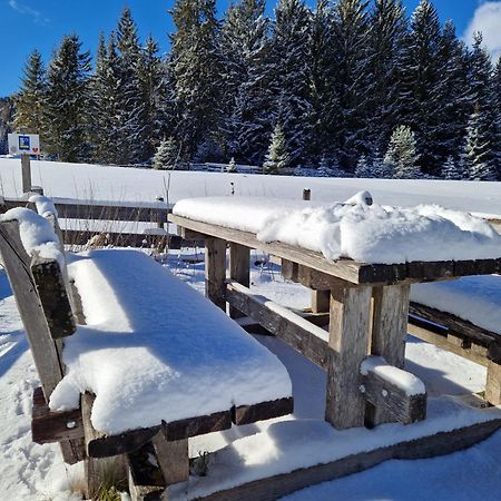 Wohlfuehl-Appartement Bergsee Family - Am Wildsee - Sup Und Schlitten For Free Зефельд-ін-Тіроль Екстер'єр фото