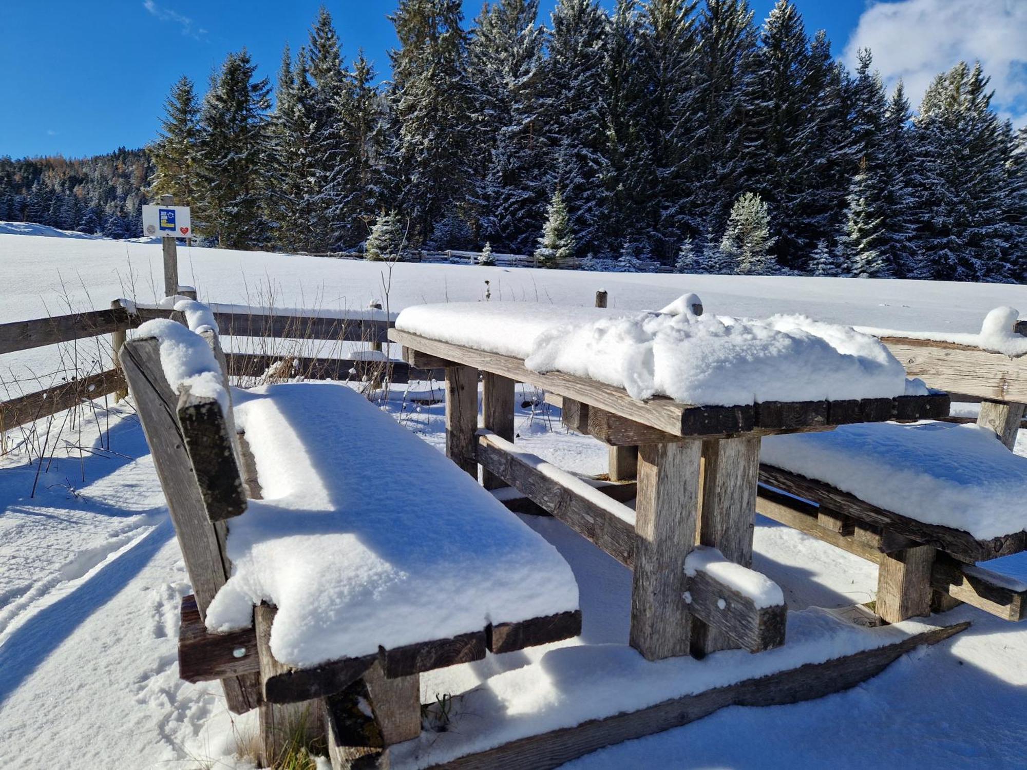Wohlfuehl-Appartement Bergsee Family - Am Wildsee - Sup Und Schlitten For Free Зефельд-ін-Тіроль Екстер'єр фото