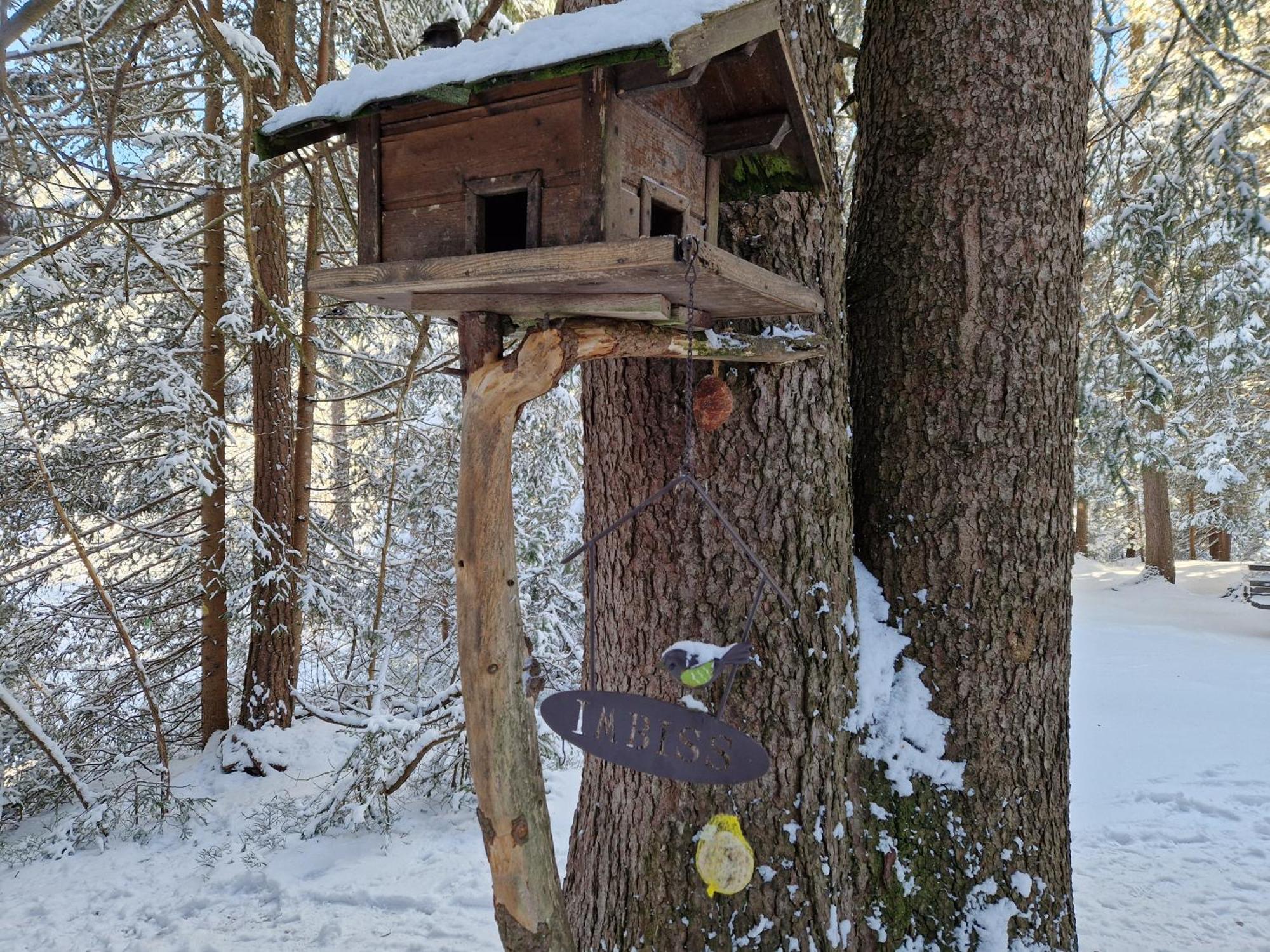 Wohlfuehl-Appartement Bergsee Family - Am Wildsee - Sup Und Schlitten For Free Зефельд-ін-Тіроль Екстер'єр фото